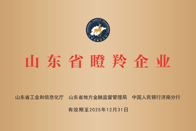晨宇電氣榮獲山東省“瞪羚企業”