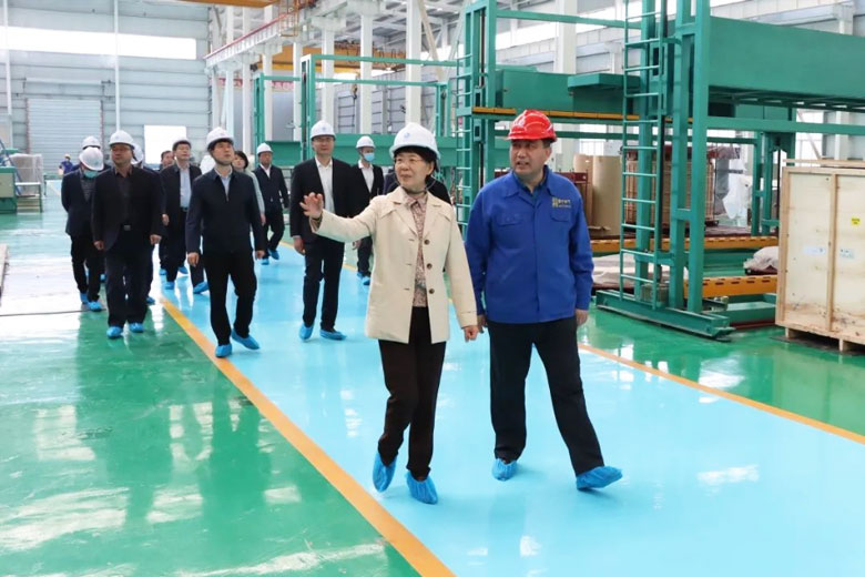 山東省發展和改革委員會來公司調研